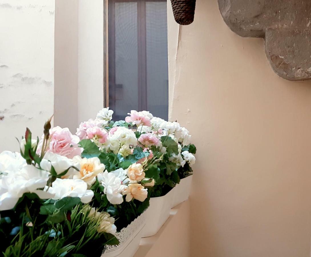 Velvet Loft - Santo Spirito Apartment Флоренция Екстериор снимка